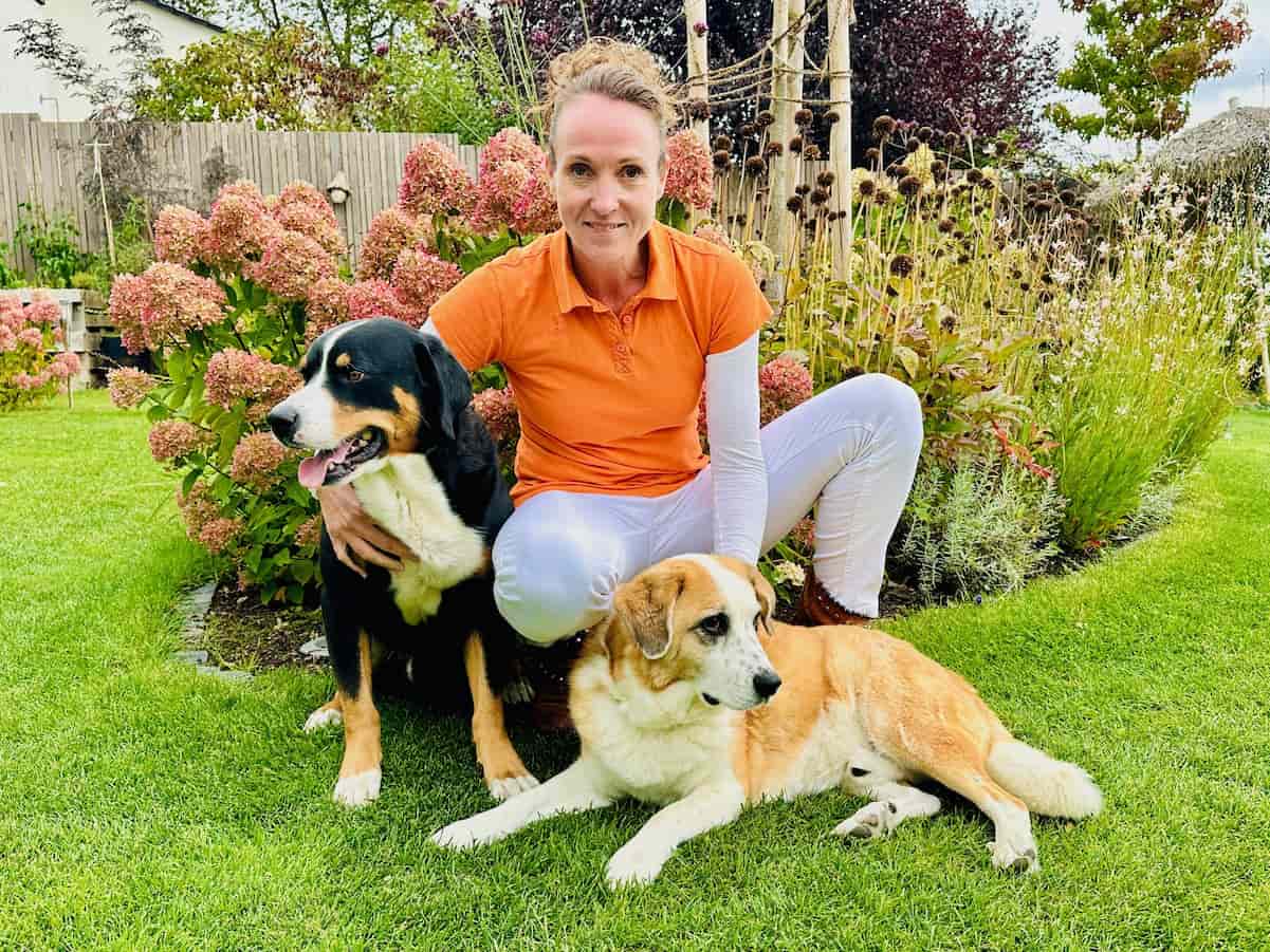 Ernährungsberatung für Hunde in der Tierarztpraxis vet4balance in Arnsberg